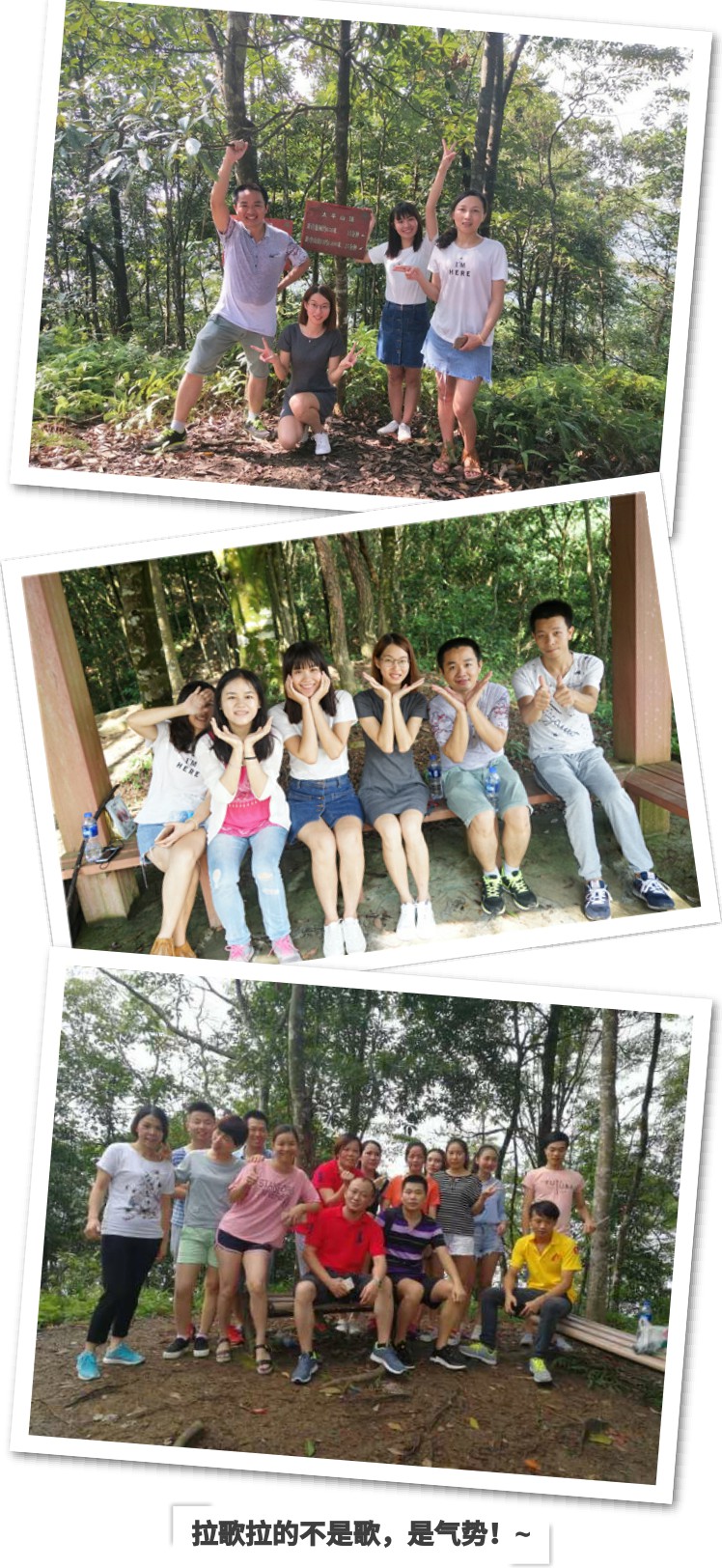 4d67de2c0ff4c2d71a4a78580beaa6dc-sz_400779.jpg